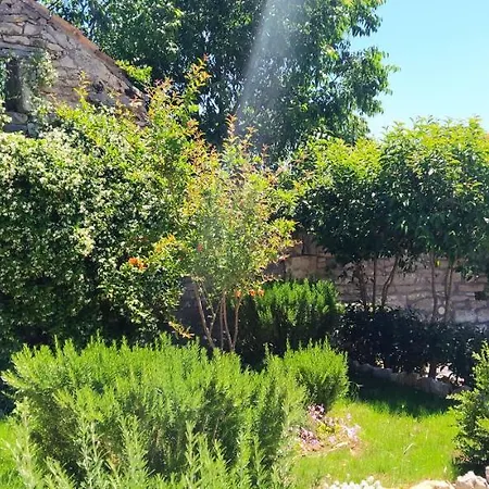 Kamena Kuca Rutar בית נופש